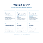iYone Yoni Foam ingredienten - probiotica met botanische extracten zoals Sophora Flavescens en Cnidium Monnieri