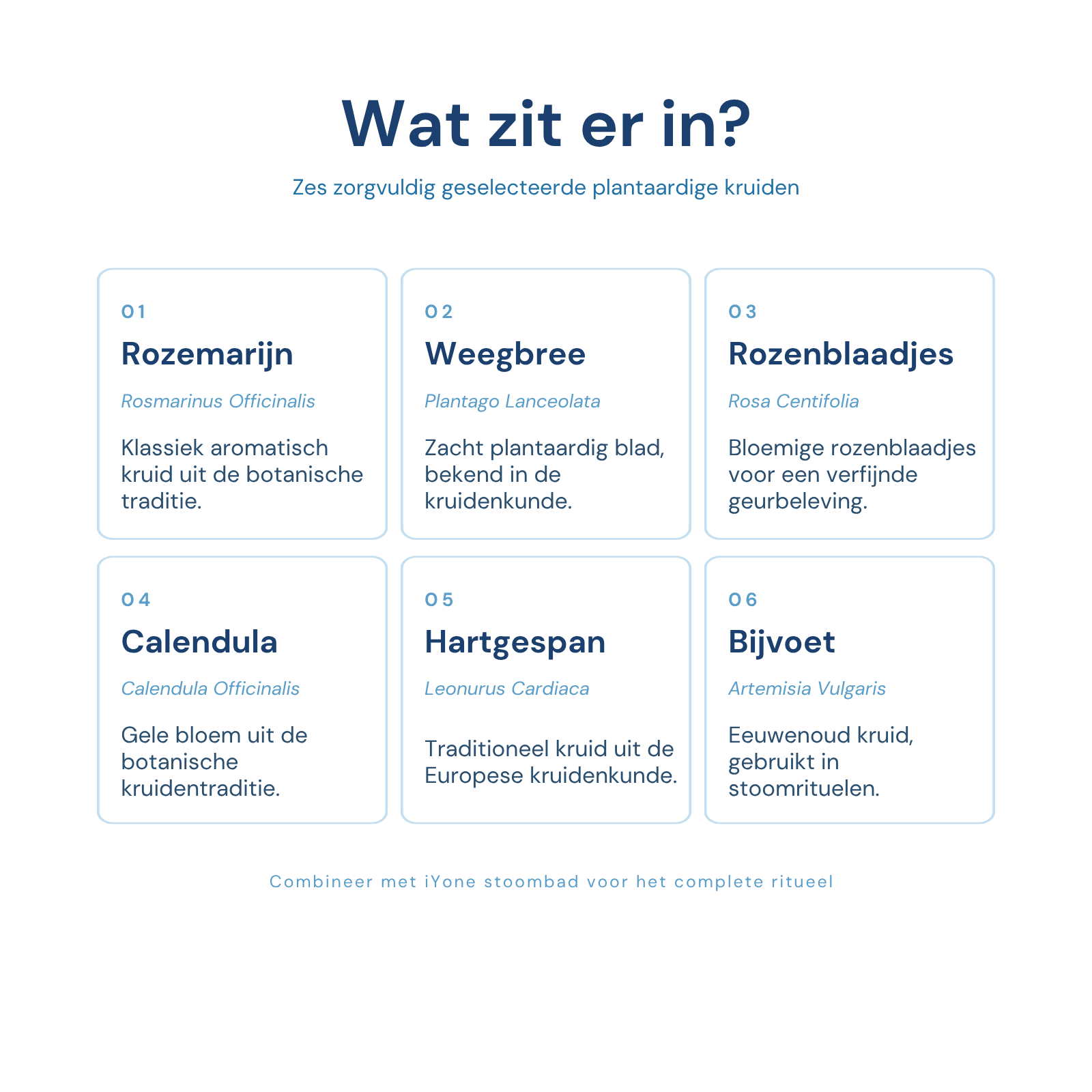 Zes plantaardige stoombadkruiden - rozemarijn, weegbree, rozenblaadjes, calendula, hartgespan en bijvoet, 50 g voor circa 4 stoomsessies